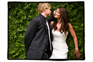 Find your dj, photographer, or videographer at WeDJ.com